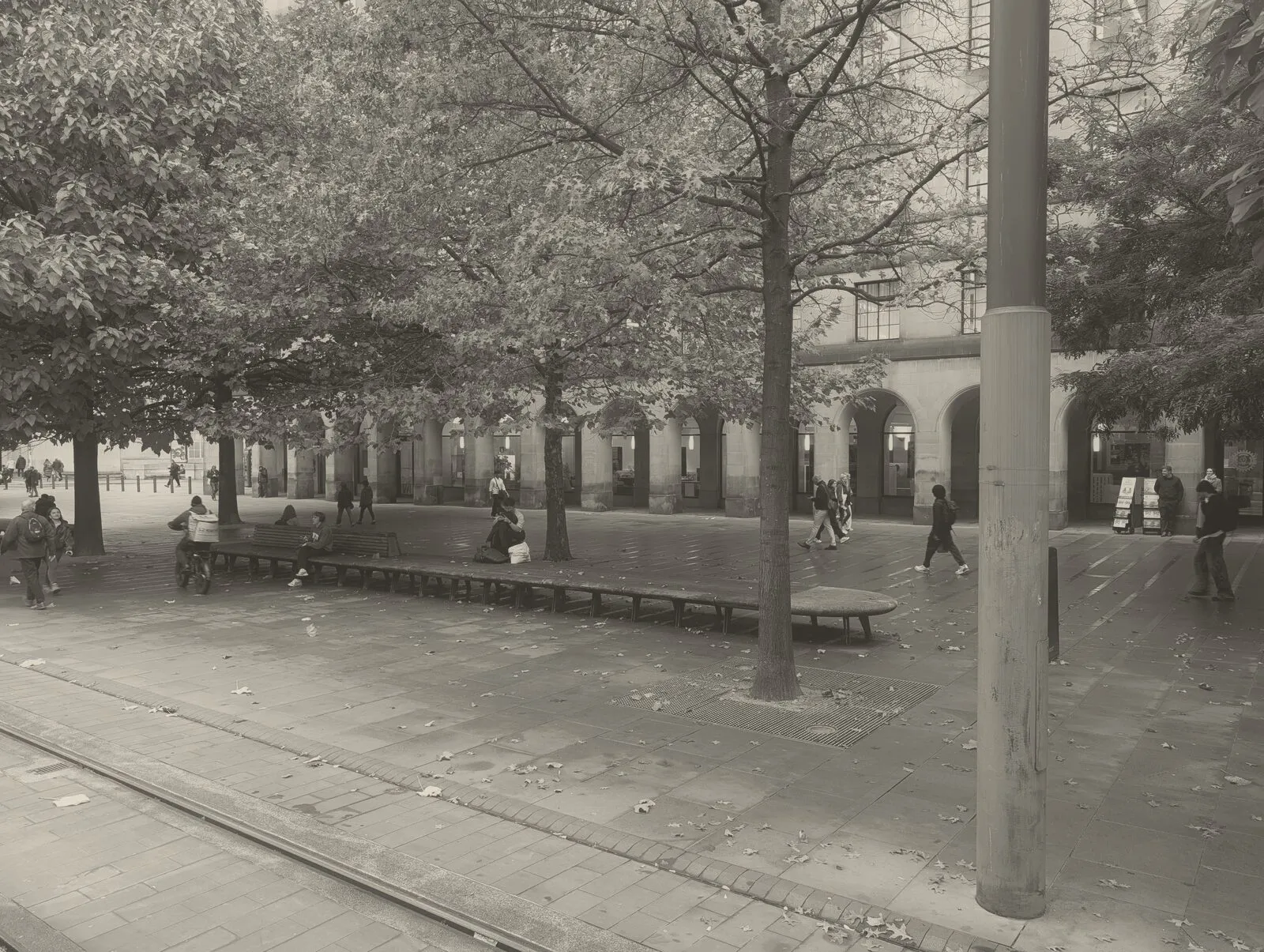 Autumn trees and benches outside Manchester Central Library, with a few people sitting and walking through